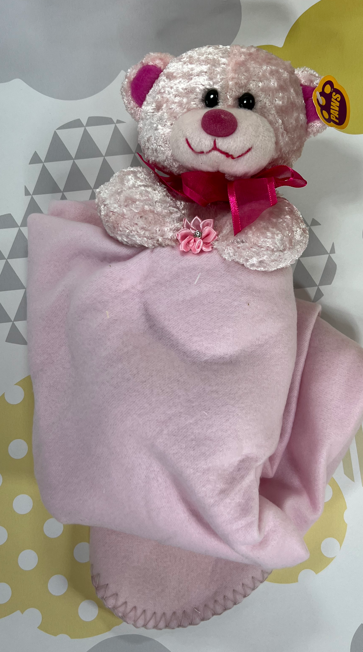 Teddy Blanket